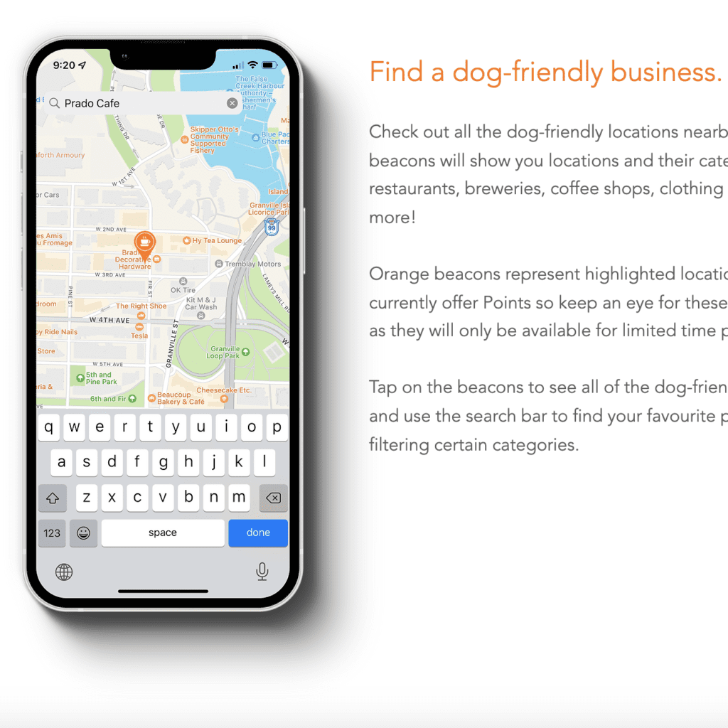 dog friendly business
